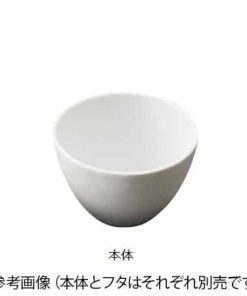 3-6748-05 Porcelain Crucible 30mLãCR-30